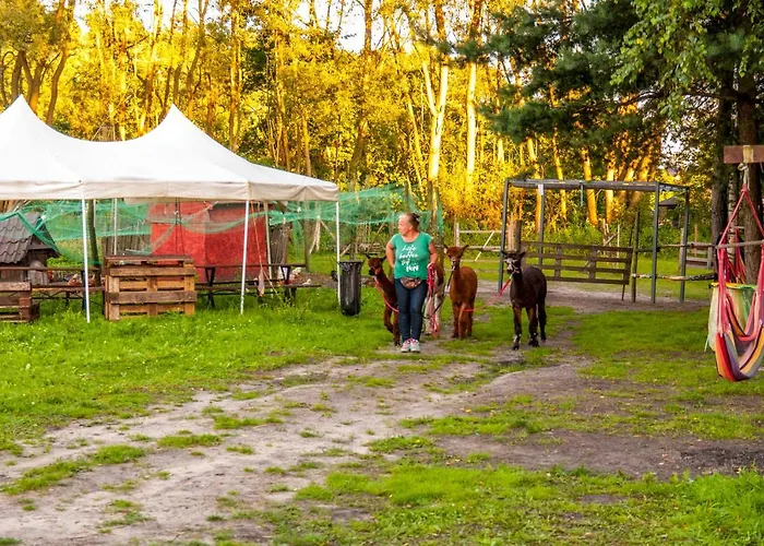 Glamping Z Alpakami